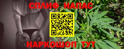 прущие грибы Ирбит