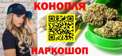 прущие грибы Ирбит