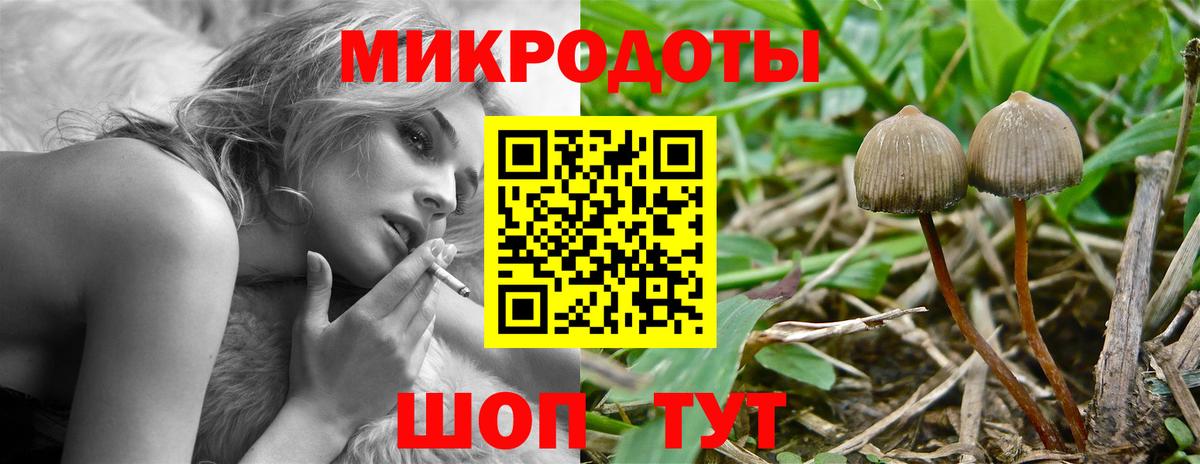 Ирбит  Псилоцибиновые грибы Psilocybine cubensis  Вход с VPN 
